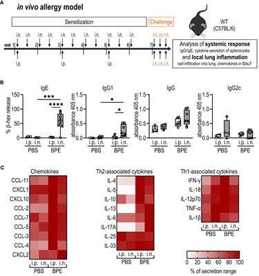 NLRP3 promotes allergic responses to birch pollen extract in a model of intranasal sensitization